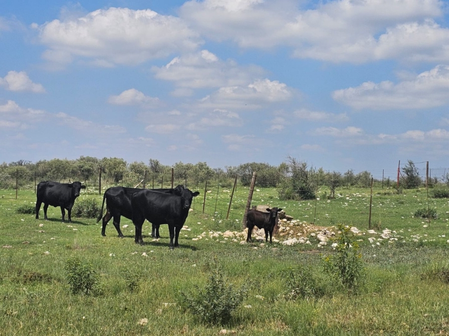 4 Bedroom Property for Sale in Jan Kempdorp Rural Northern Cape